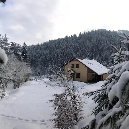 Janet Domek letniskowy