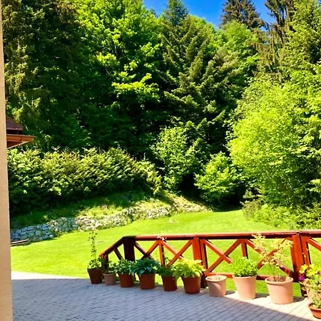 Janet * Мартин