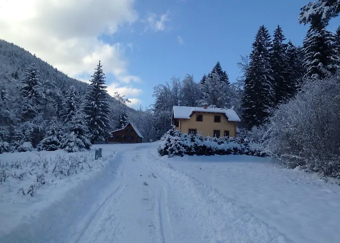 بيت خشبي Janet *