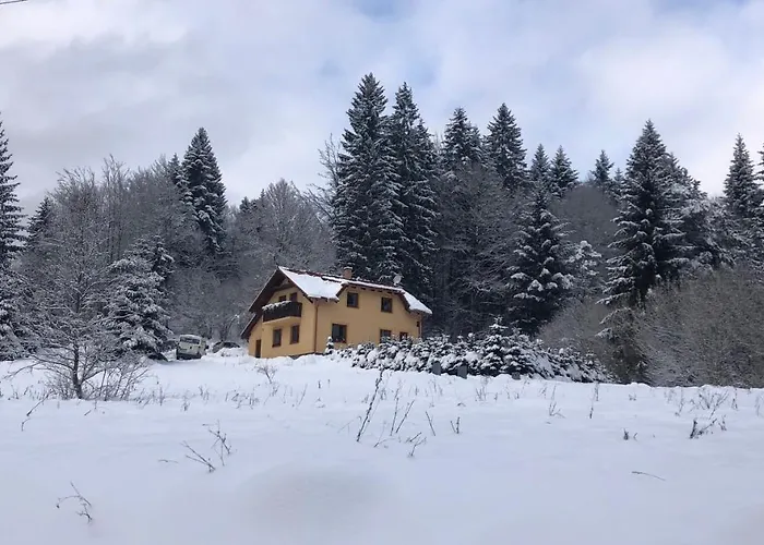 Janet * مارتون