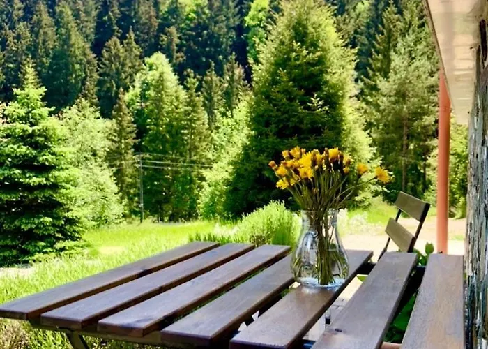 Janet بيت خشبي