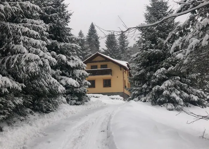 Janet بيت خشبي